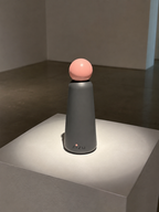 Bobble